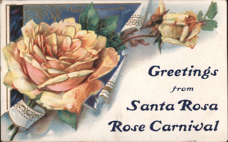 1911 Santa Rosa CA Rose Carnival Floral Greetings Postcard California