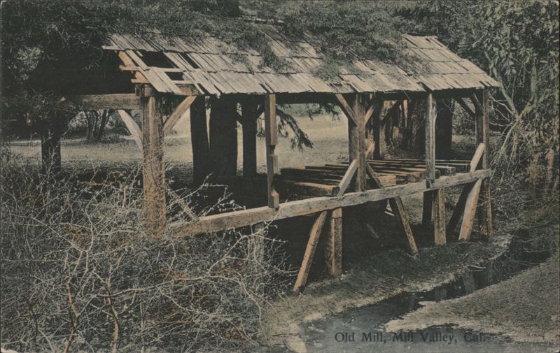 Old Mill, Mill Valley, California