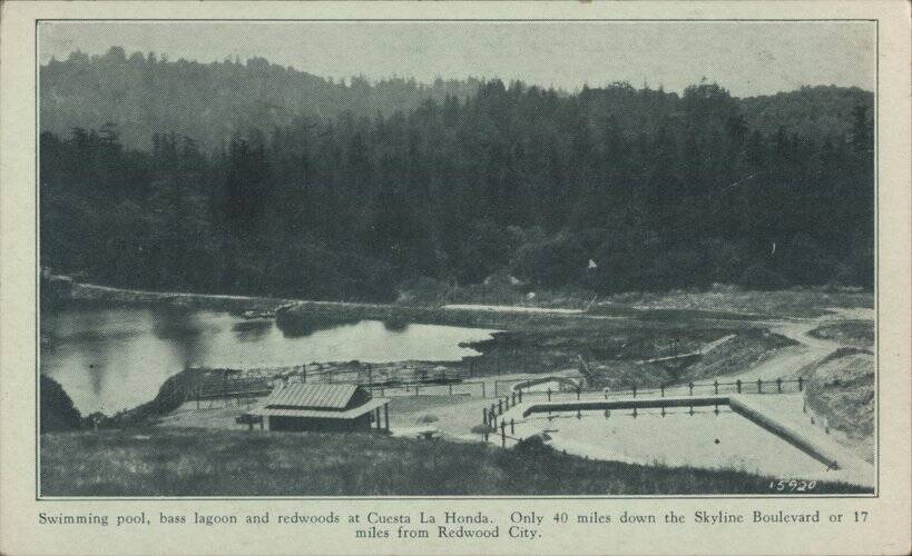 Swimming Pool, Bass Lagoon and Redwoods at Cuesta La Honda California