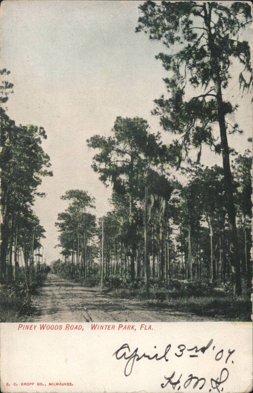 Piney Woods Road, Winter Park, Florida