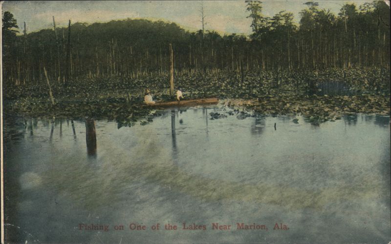 Fishing on a Lake Near Marion, Alabama