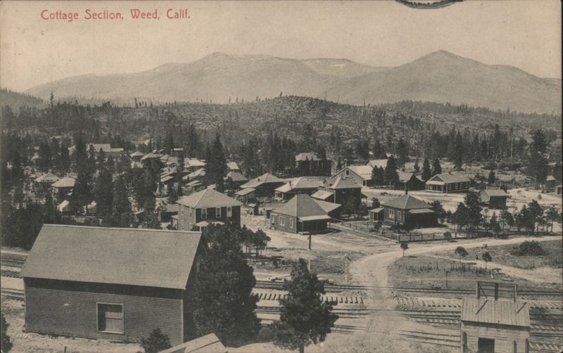 Cottage Section, Weed, California