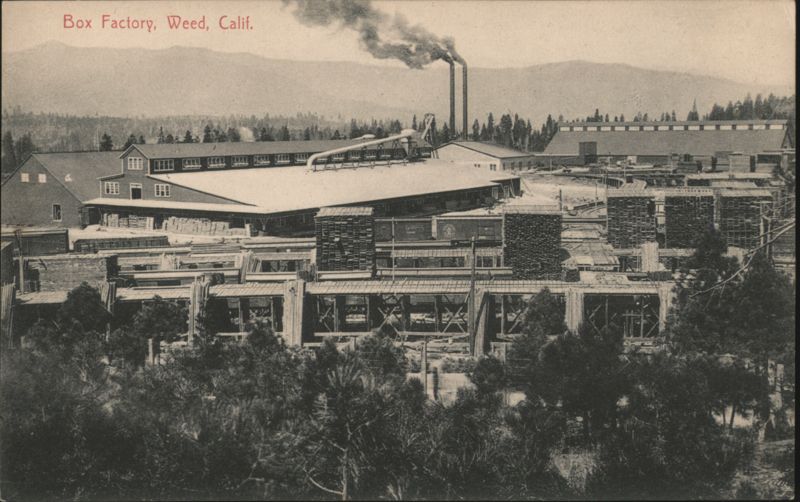 Box Factory, Weed Lumber Co. California
