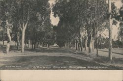 A Shady Drive, Benicia Arsenal Postcard