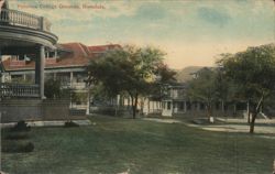 Punahou College Grounds, Honolulu Postcard