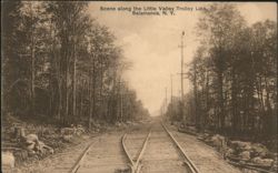 Little Valley Trolley Line, Salamanca, New York Postcard