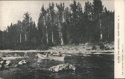 Along the Genesee, Near Perry, NY Postcard