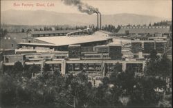 Box Factory, Weed Lumber Co. Postcard