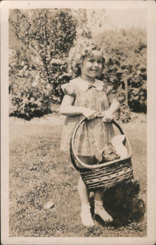 Shirley Temple Holding a Puppy in a Basket Actresses