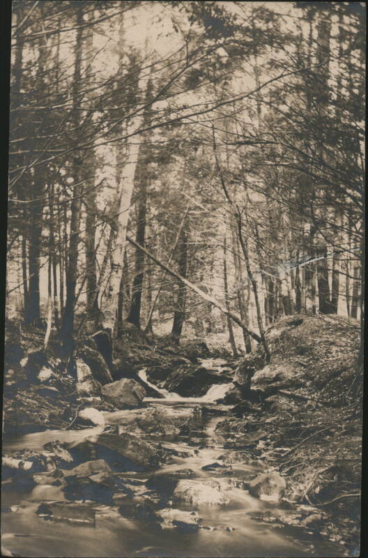 Woodland Stream New Hampshire