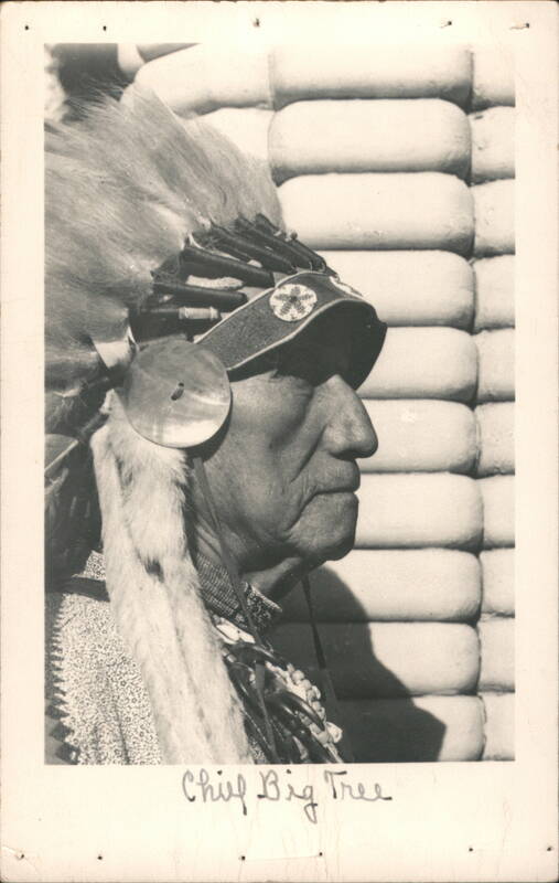 Chief Big Tree Portrait Native Americana