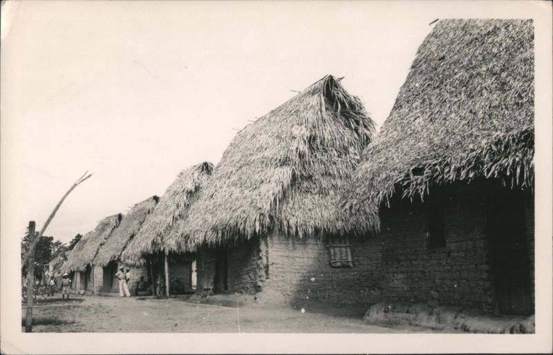 Thatched Roof Houses in Honduras Central America