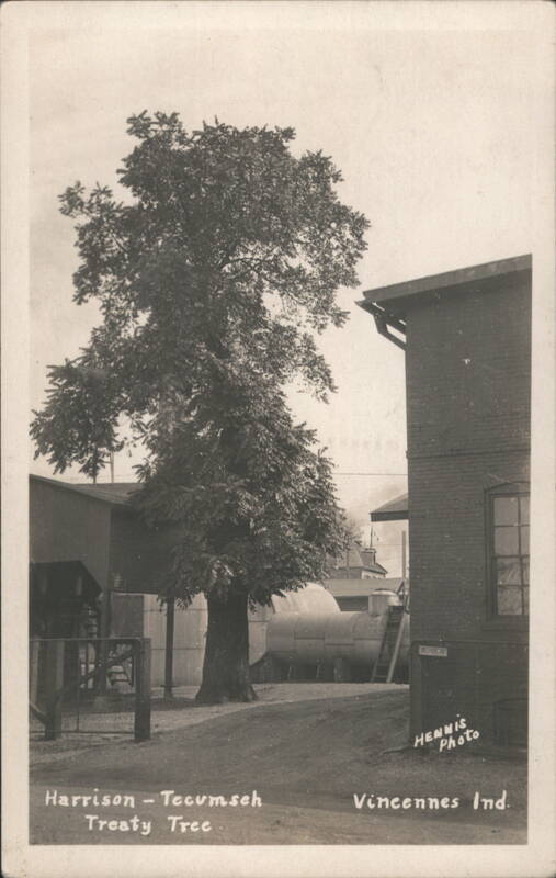 Harrison-Tecumseh Treaty Tree Vincennes Indiana Hennis