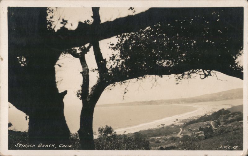Stinson Beach and Bolinas Coastline View California