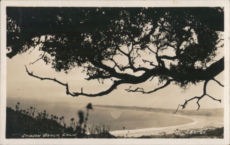 Coastal View from Hillside Stinson Beach California