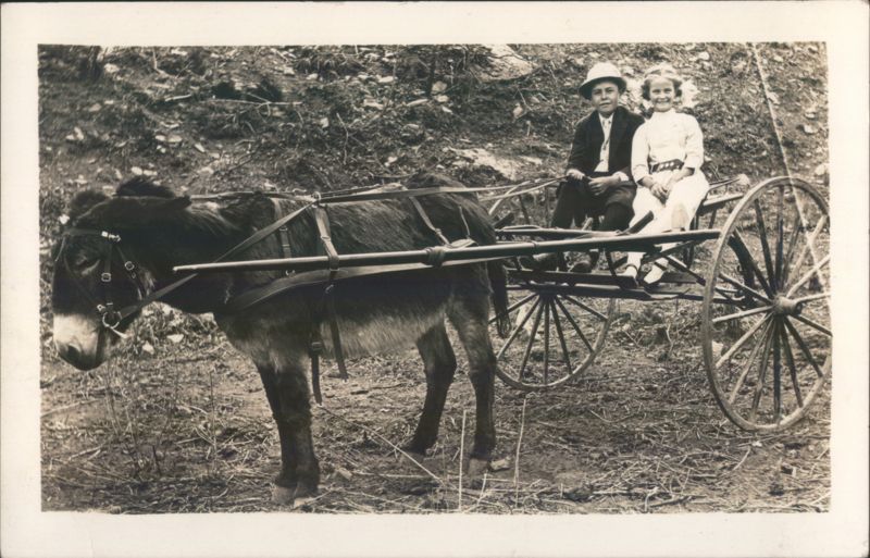Boy and Girl Riding in a Donkey Cart Horse-Drawn