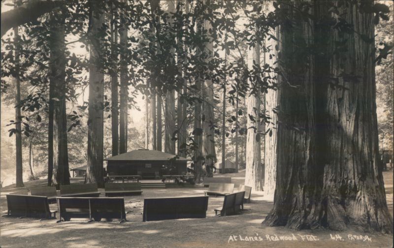 Lane's Redwood Flat, California L.H. Paterson