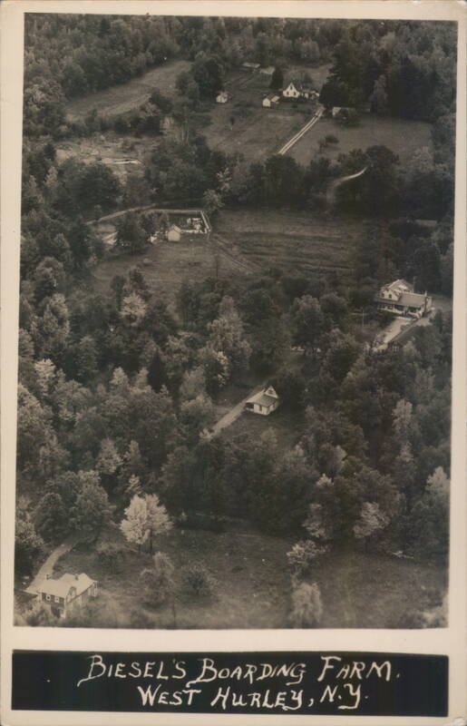 Diesel's Boarding Farm, West Hurley, New York