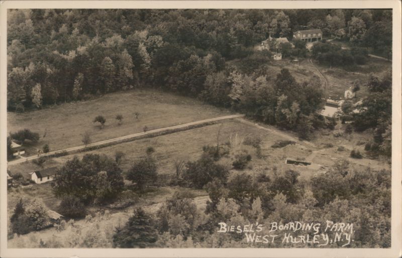 Biesel's Boarding Farm West Hurley New York