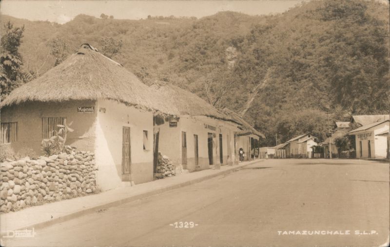 Street Scene with Thatched Roof Buildings in Tamazunchale Mexico
