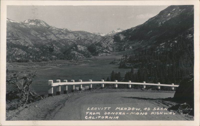 Leavitt Meadow from Sonora-Mono Highway, California
