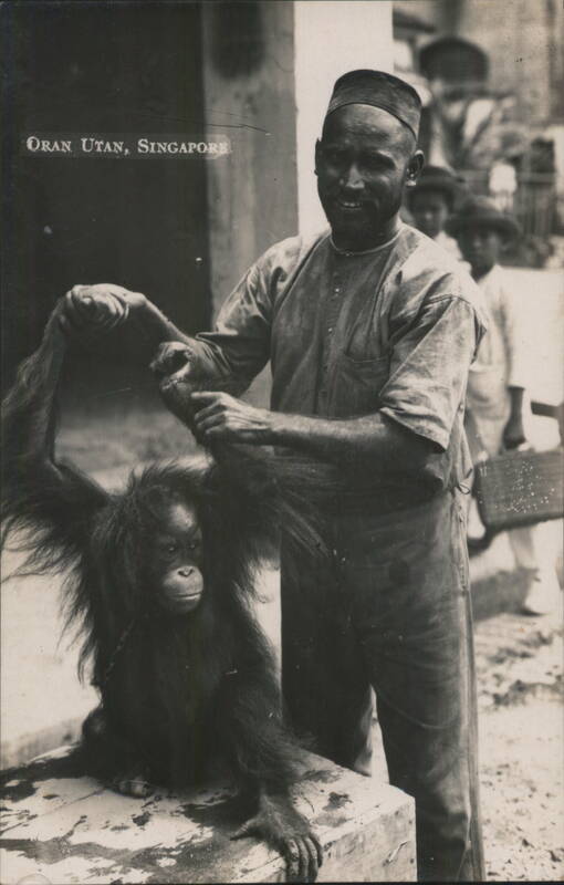 Man Holding an Orangutan, Singapore Apes