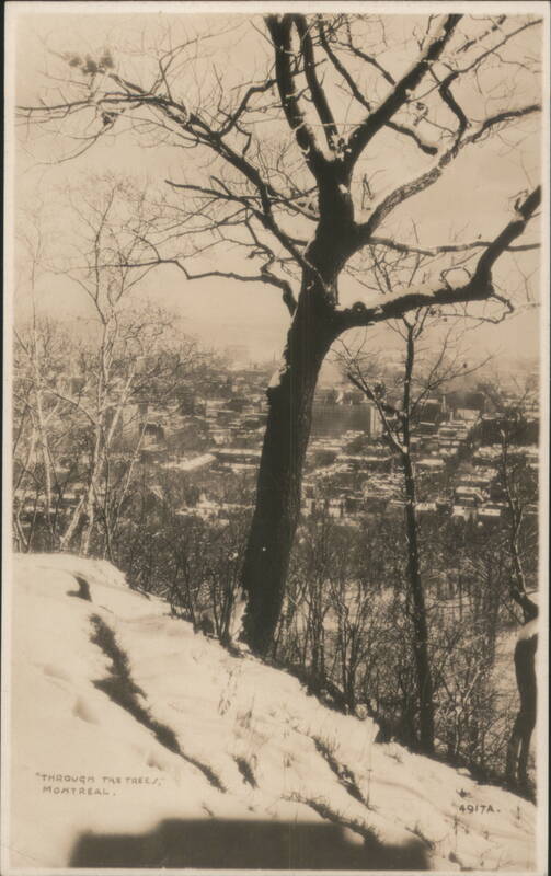 Through the Trees, Winter View of Montreal QC Canada