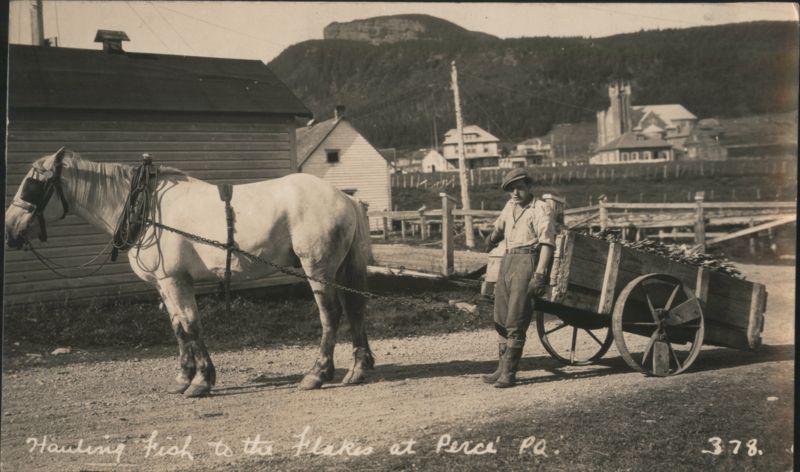 Hauling Fish to the Flakes at Perce, Quebec QC Canada
