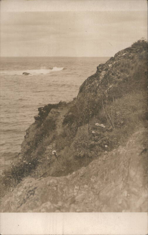 Rocky Coastline with Crashing Waves - Oregon or California?