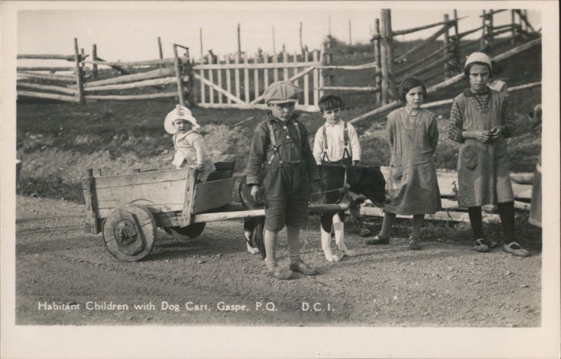 Habitant Children with Dog Cart in Gaspe QC Canada