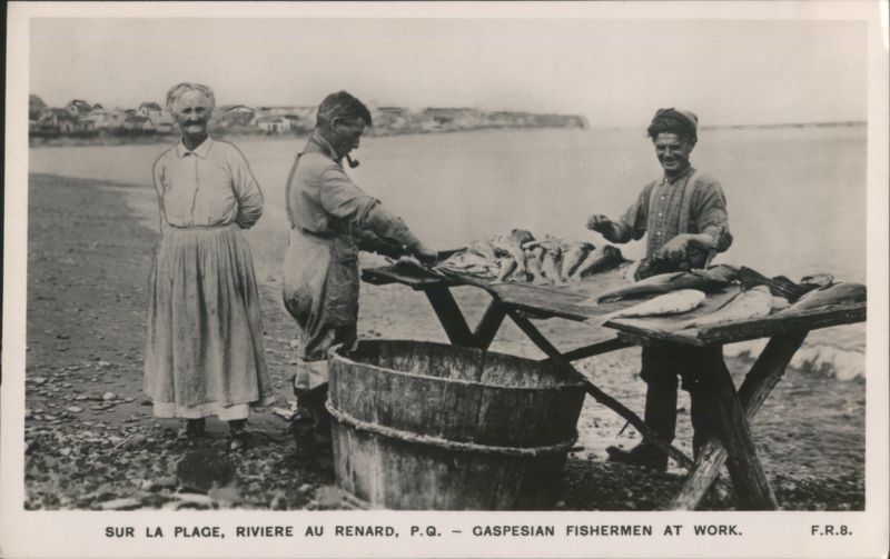 Gaspesian Fishermen at Work, Riviere au Renard QC Canada