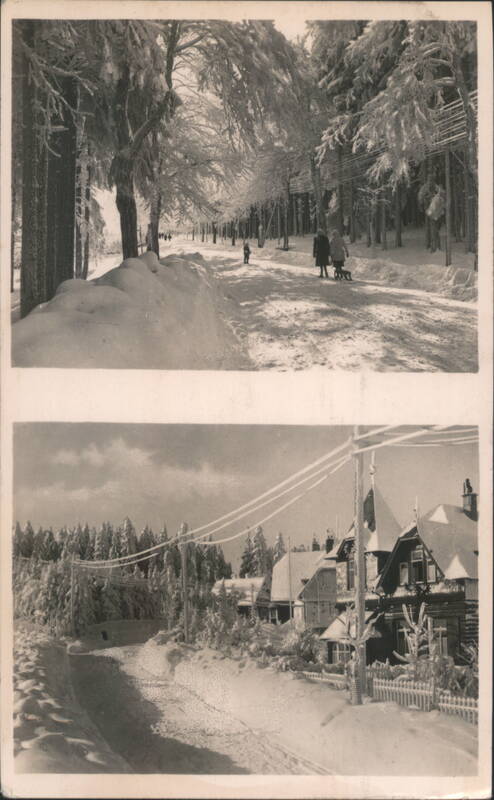 Winter Scenes in Oberhof, Thuringia Germany