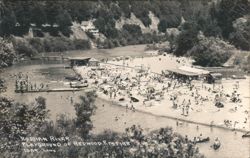 Russian River Playground of Redwood Empire Postcard