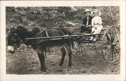 Boy and Girl Riding in a Donkey Cart Postcard