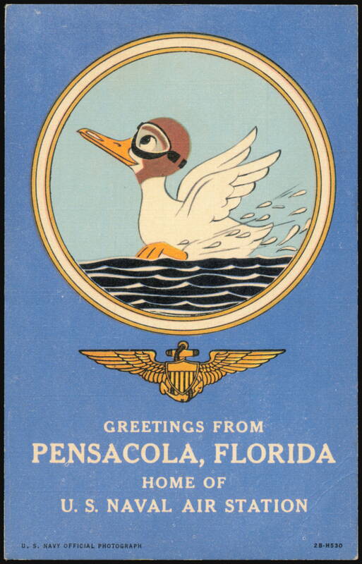 U.S. Naval Air Station Mascot Duck, Pensacola, Florida