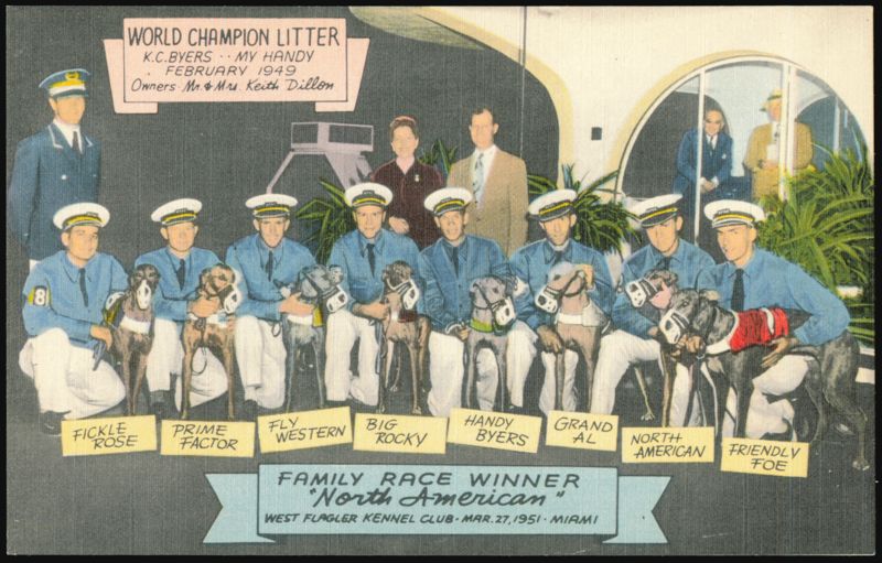 World Champion Litter Greyhound Racers, West Flagler Kennel Miami Florida