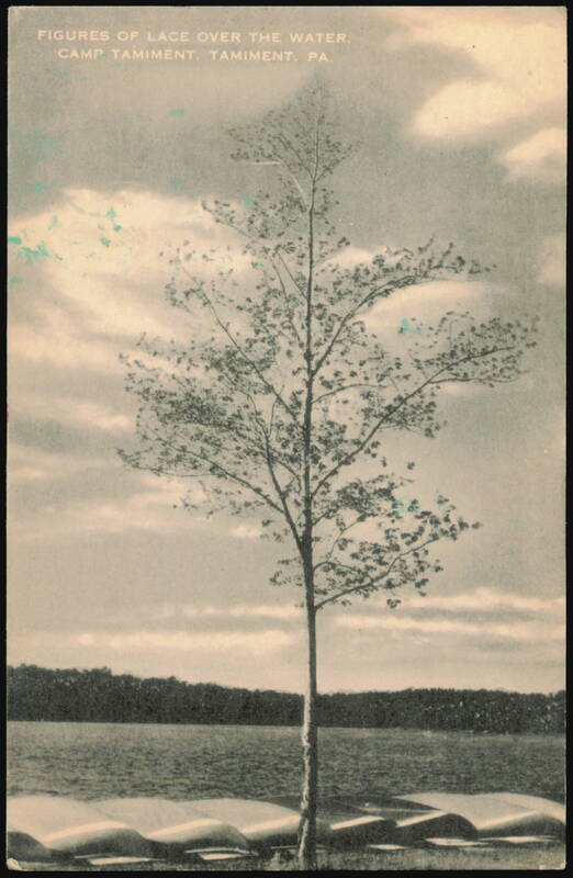 Figures of Lace Over the Water, Camp Tamiment, PA Pennsylvania