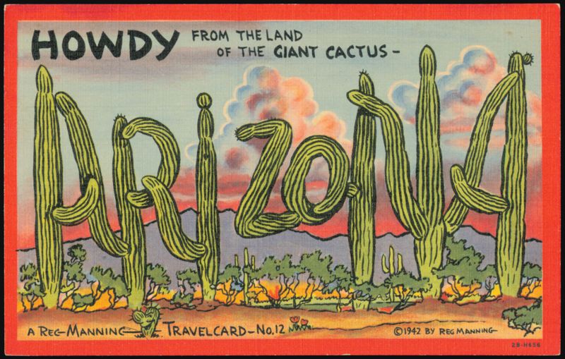 Arizona Land of the Giant Cactus Reg Manning Travelcard