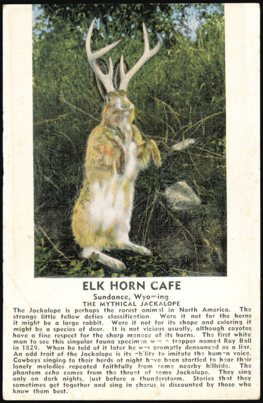 The Mythical Jackalope, Elk Horn Cafe, Sundance, Wyoming