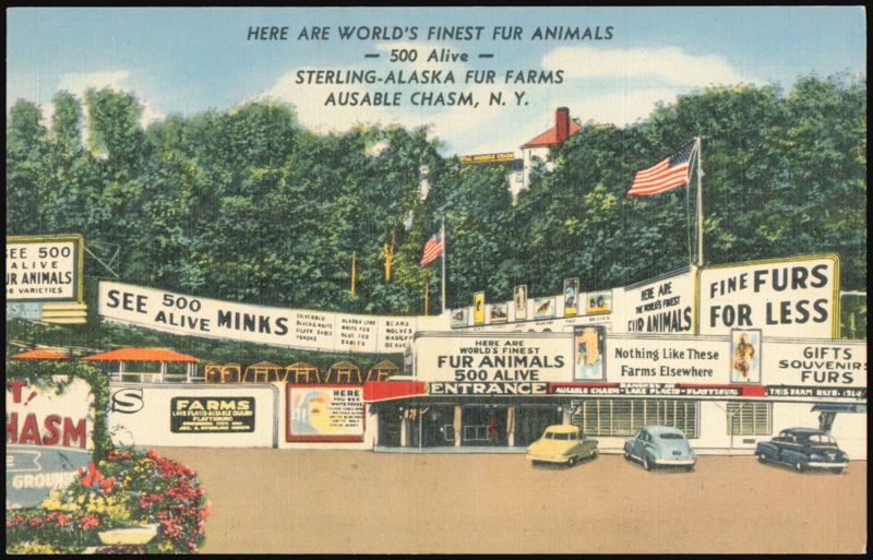 Sterling-Alaska Fur Farms, Ausable Chasm, New York