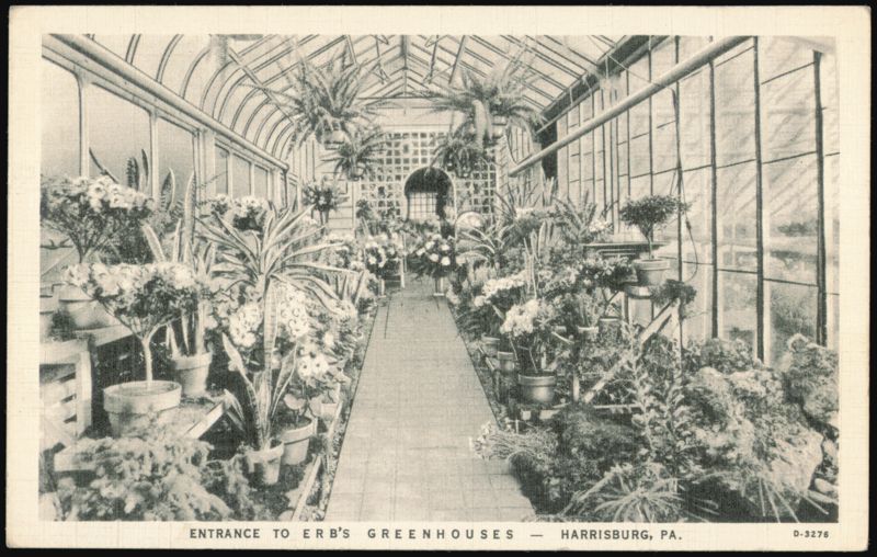 Erb's Greenhouses, Flowers That Cheer, Harrisburg, PA Pennsylvania