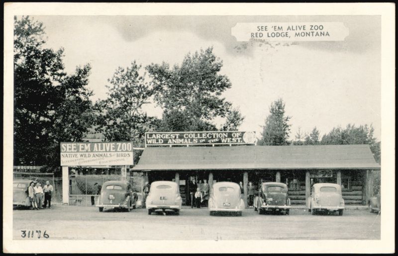 See 'Em Alive Zoo, Largest Collection of Wild Animals Red Lodge Montana