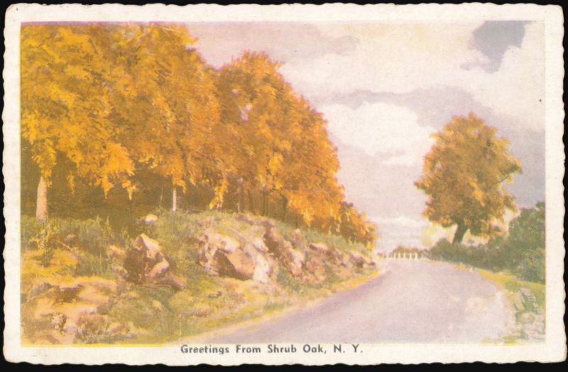 Scenic Roadside View, Shrub Oak, New York