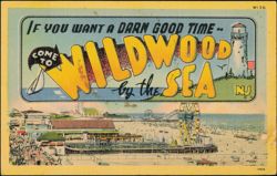 If You Want a Darn Good Time - Come to Wildwood by the Sea Postcard