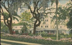Grey Gull Inn, Clearwater, Florida Postcard