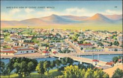 Bird's-Eye View of Ciudad Juarez, Mexico Postcard