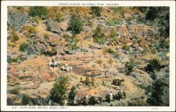 Cape Horn, Bright Angel Trail, Grand Canyon National Park Postcard