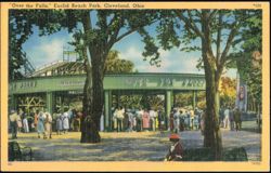 Over the Falls Ride at Euclid Beach Park Postcard