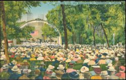 Williams Park and Bandstand, St. Petersburg, Florida Postcard