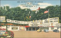 Sterling-Alaska Fur Farms, Ausable Chasm, New York Postcard